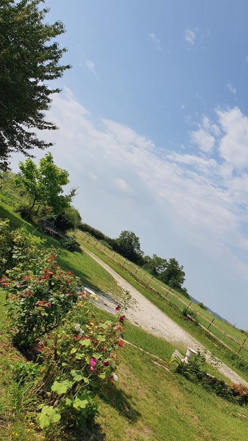Grande Maison Avec Jardin, Animaux,Au Calme Yviers Exterior foto